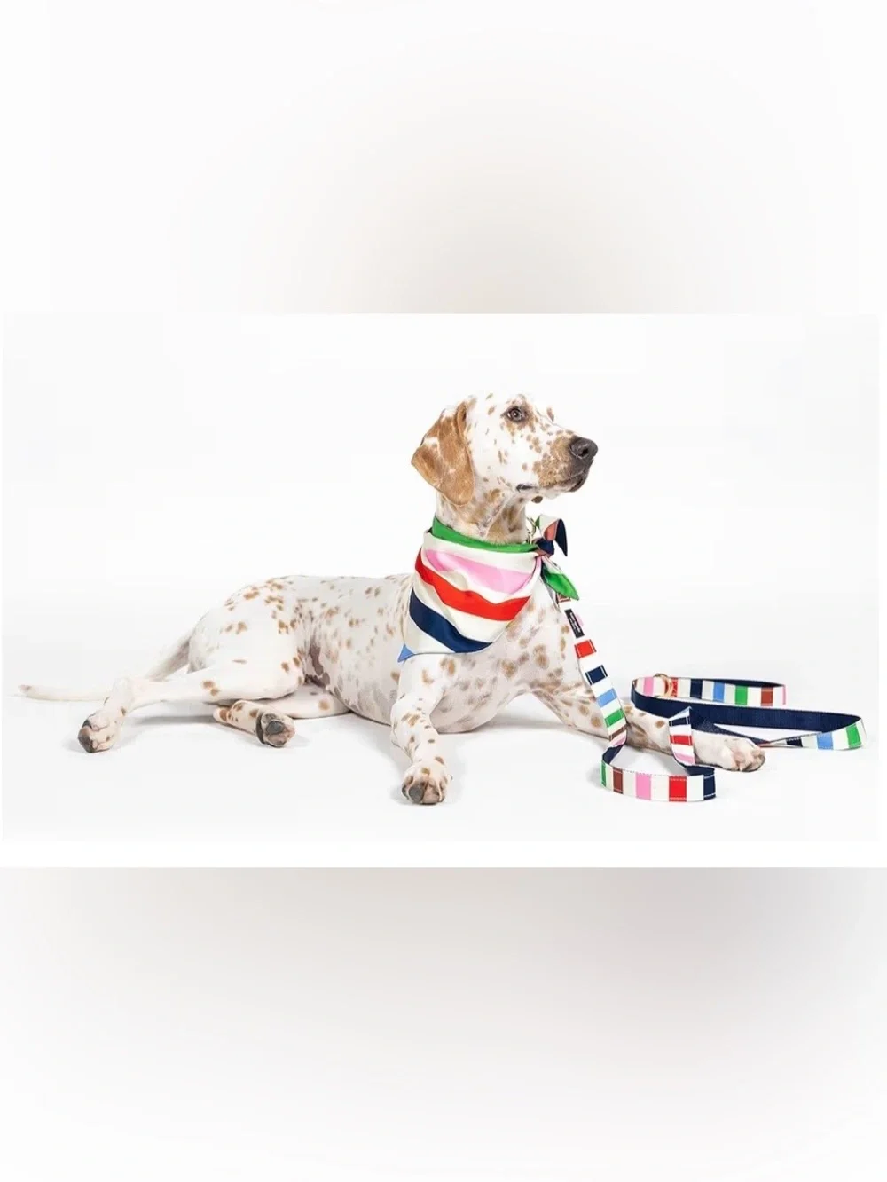 Kate Spade New York Heavy Duty Leash for Female or Male Dogs